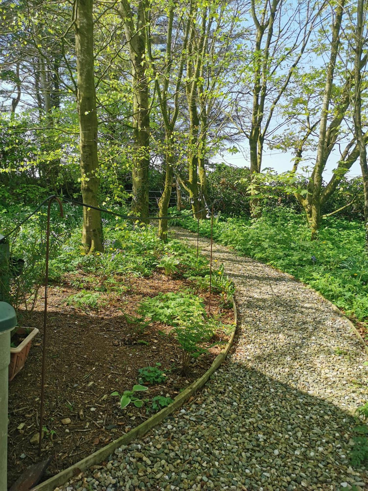 Doughery Den The Dark Hedges Hideaway Armoy Kültér fotó